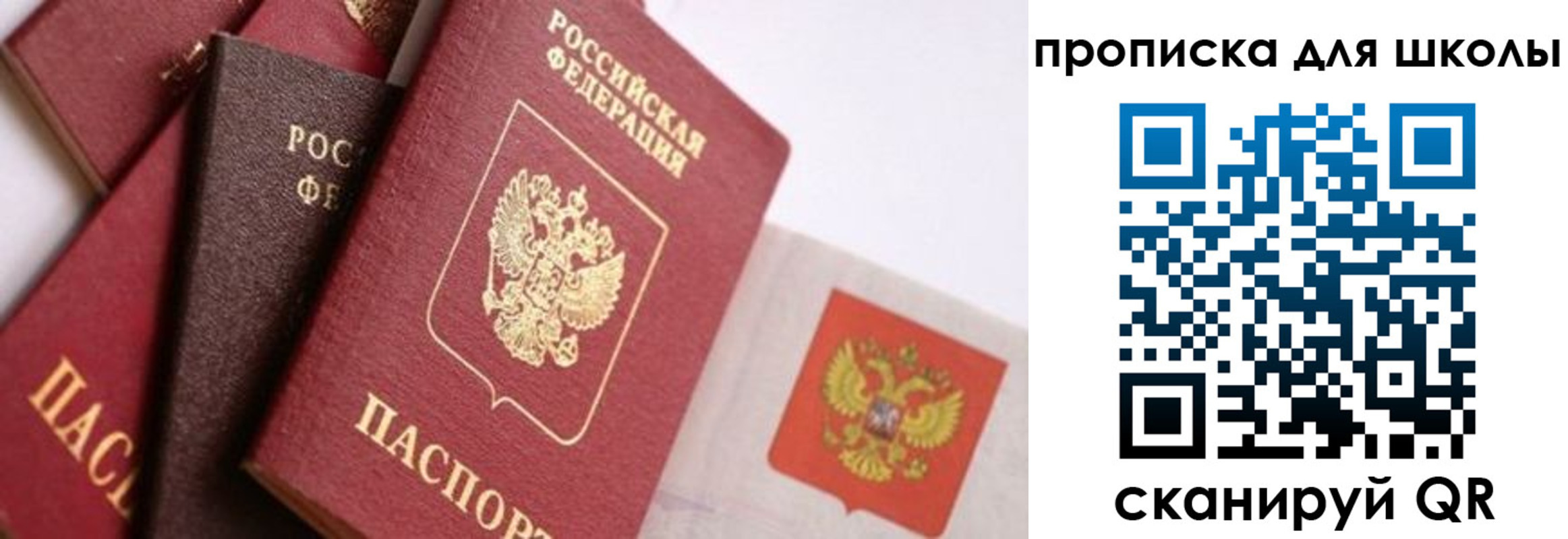 прописка поиск в Забайкальском крае
